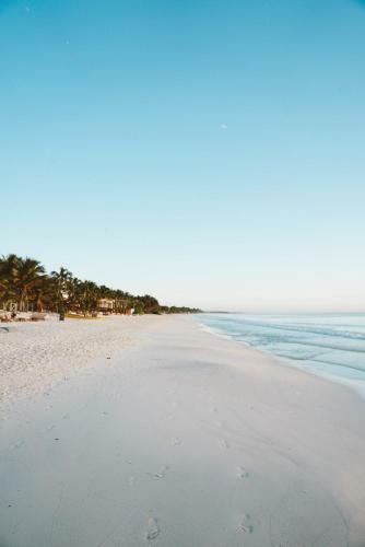Hotel Playa Mambo Eco Cabanas