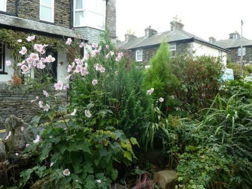 Lamb Cottage, Salisbury Place