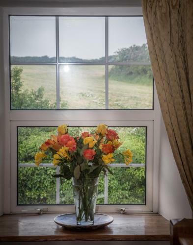 Bed & Breakfast Treweens