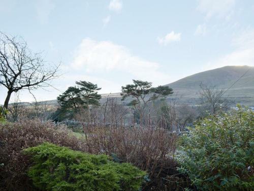 Cobble Rigg