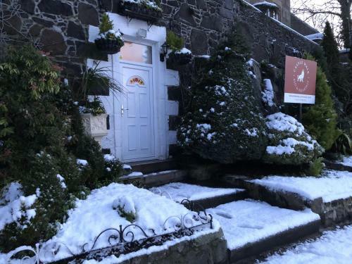 Castle Walk Bed & Breakfast