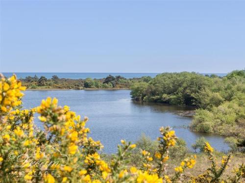 Studland Cottage, Swanage