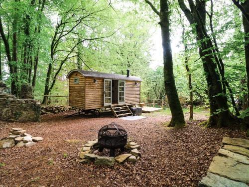 Rock View Shepherd's Hut, Tavistock