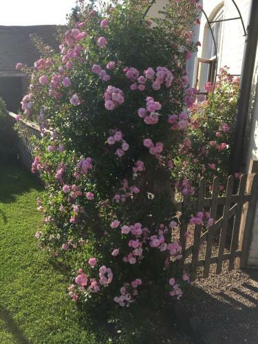 North Farm Bed And Breakfast