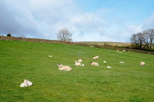Bed & Breakfast Bondcroft Farm