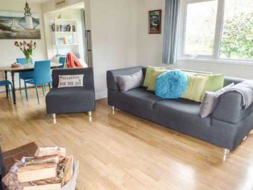Paw Prints, Saltash
