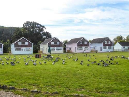 Salterns 3, Seaview II