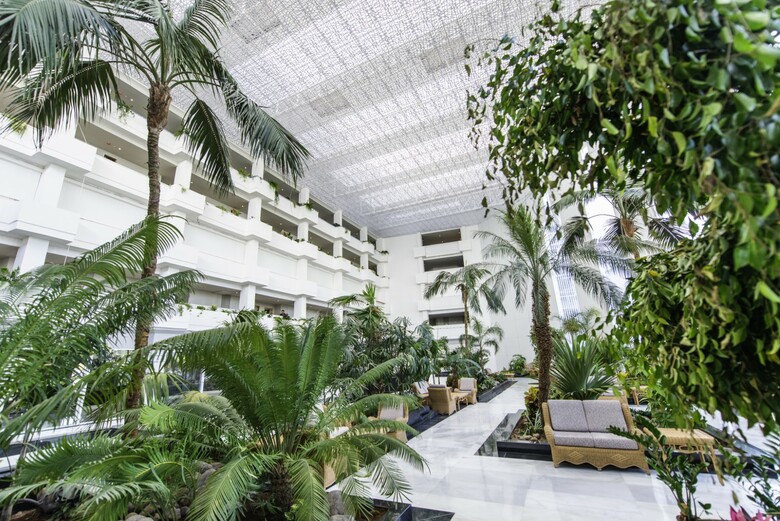 Hotel Vulcano