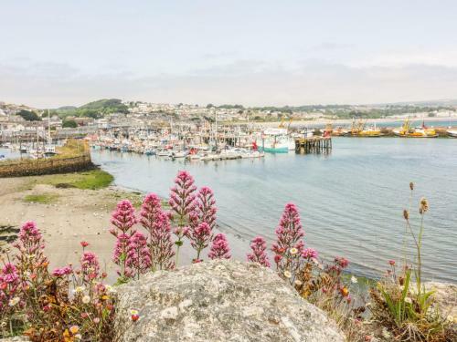 Kay Fin, Penzance