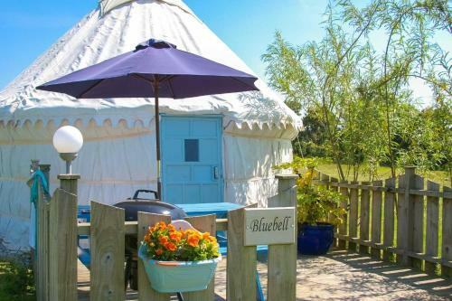 Bluebell Yurt