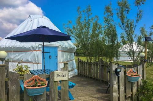 Bluebell Yurt