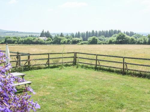 View The Gallery, Okehampton