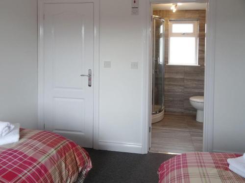 Lilys Pad