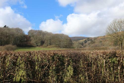 Capel- Y-bryniau