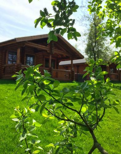 Rothley Cabin