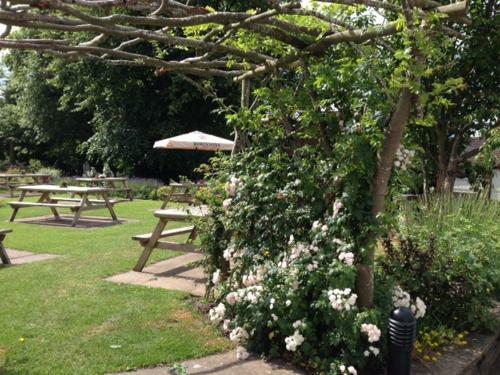 Posada The Swan Inn