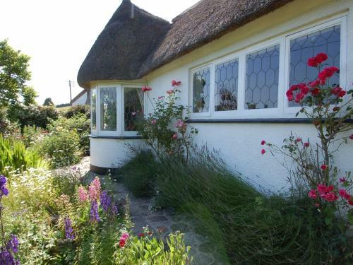 Appletree Cottage, Newton Abbot