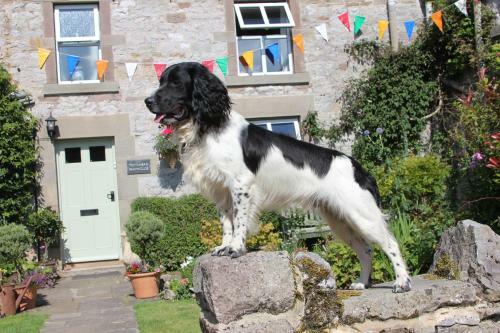 Hostal Townhead Farmhouse