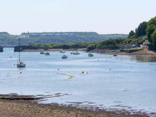 Heron, Milford Haven