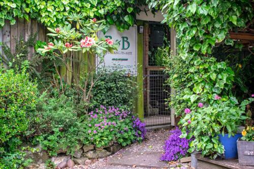 Hostal The Traveller's B&B