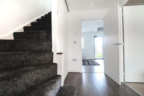 Apartamentos Commonwealth Home
