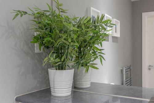Apartamento Lovely 2 Bed Flat - Airport/piccadilly Friendly
