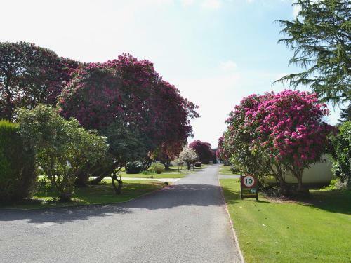 Tresco