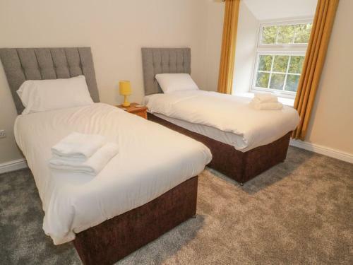Hafan, Llangollen