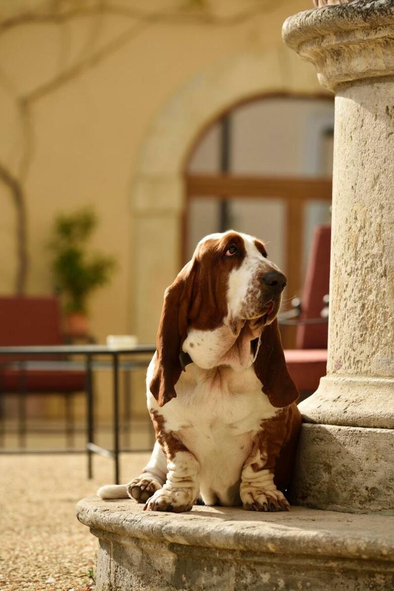 Hotel Villa Sabolini