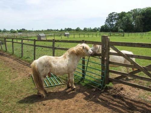 Shepherd's Rest, Lechlade