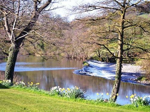 Heron, Ilkley