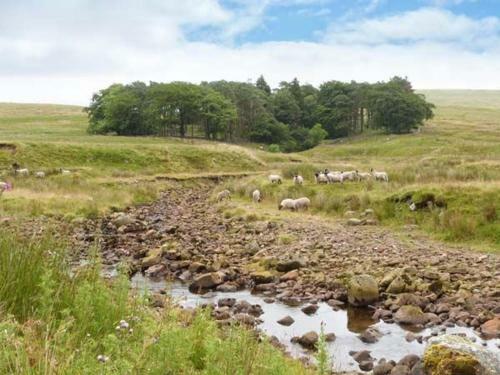 Kingsdale Head Cottage