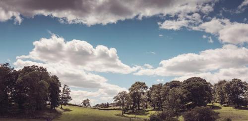 Tranthwaite Hall Bed & Breakfast