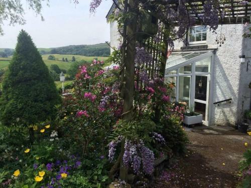 Little Ghyll Cottage, Kendal