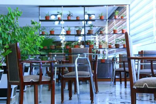 Posada Garden House Mini-hotel