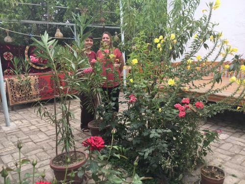 Hostal Antica B & B Samarkand