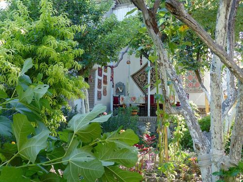 Hostal Antica B & B Samarkand