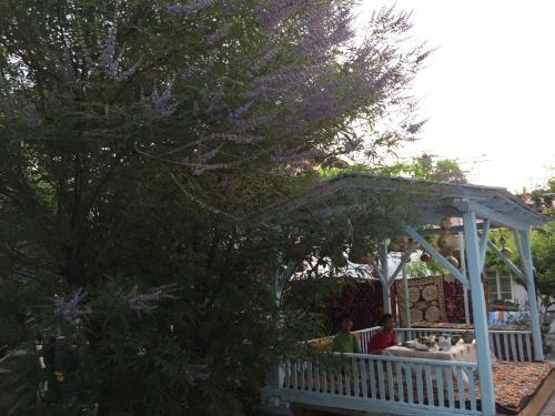 Hostal Antica B & B Samarkand