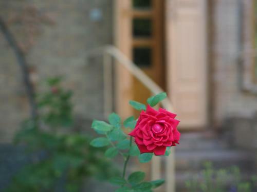 Hostal Antica B & B Samarkand