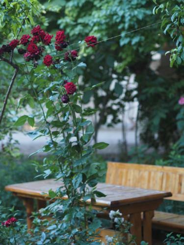 Hostal Antica B & B Samarkand