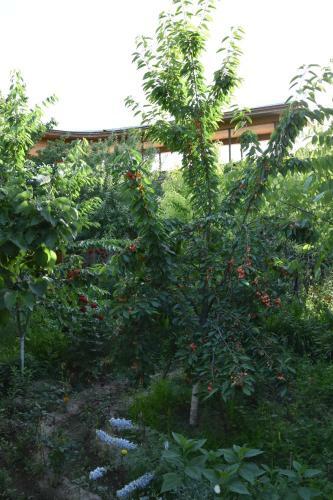 Hostal Antica B & B Samarkand