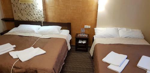 Hotel Grofa Vas