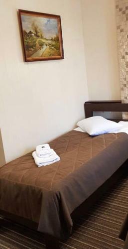 Hotel Grofa Vas