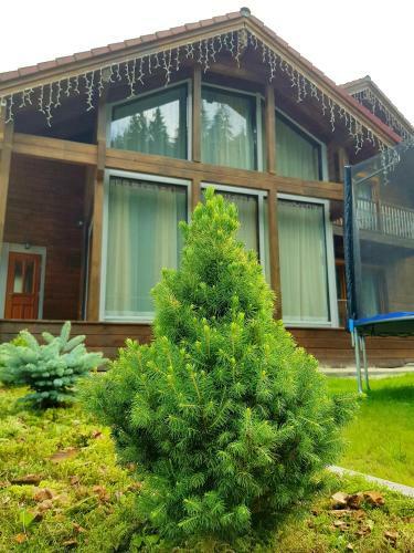 Lodge Austrian Cottage