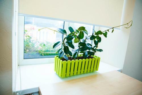 Coin Apartments & Hostel