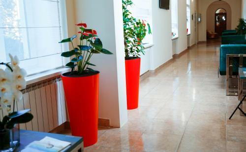 Coin Apartments & Hostel