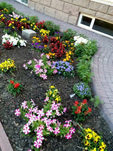 Large Apartment Near Sea