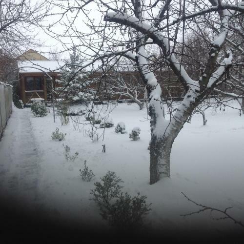 Hostal Sea Side House