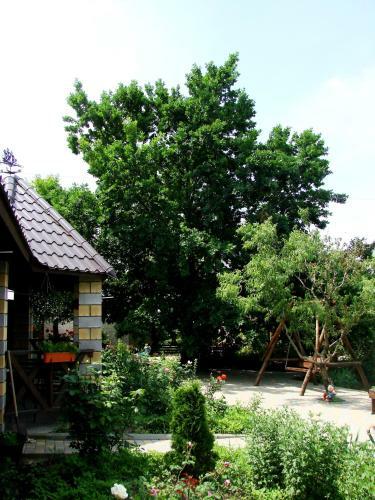 Hostal Svitoch