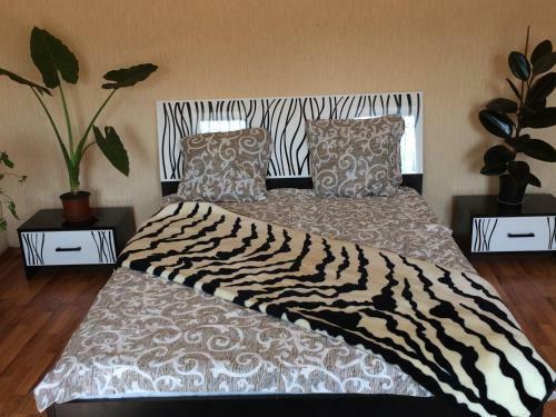 Apartamento ???????????